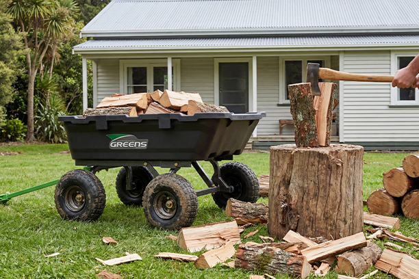 Carts Model GP350 Poly Cart.3